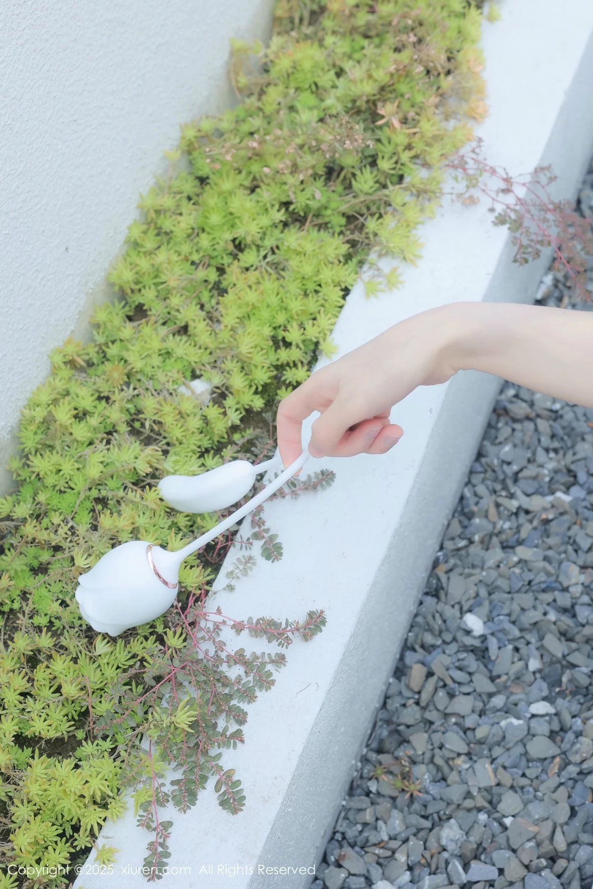 漂亮美女_桃妖夭全集 漂亮美女_桃妖夭全集